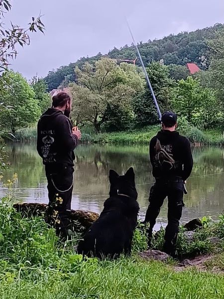 Hilfe für Tiere in Not Streichle mich und Du bist entspannt